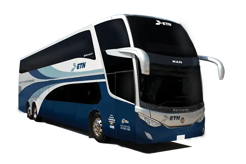 Viaja en Autobús Polo 35 asientos