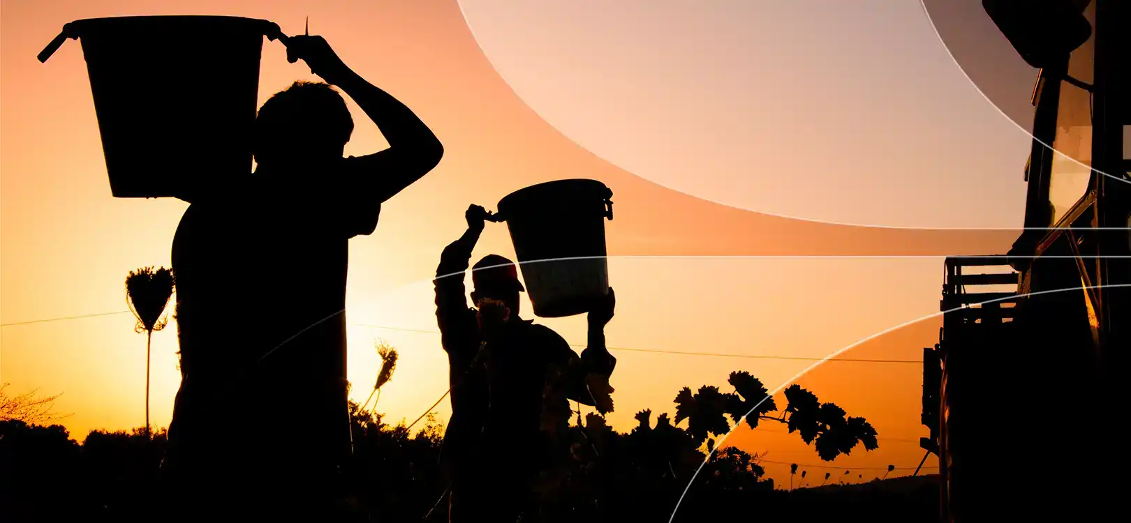 Compra tus boletos de autobús y viaja a Aguascalientes