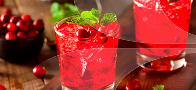 bebida cebadina león guanajuato