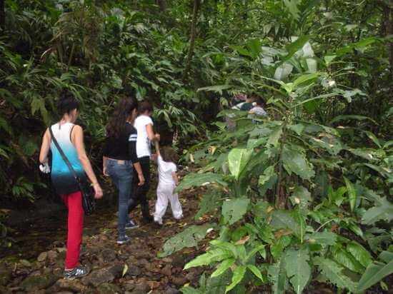 Boletos de Autobús a manzanillo selva flora y fauna
