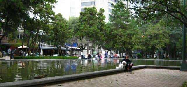  Boletos de Autobús a México Poniente Parque Lincoln