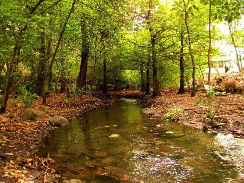 parque nacional de fuentes brotantes en la ciudad de mexico-sur