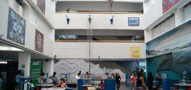 ciudad  de méxico universum