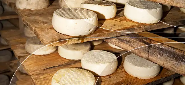 PRUEBA DE LOS DELICIOSOS QUESOS ARTESANALES 