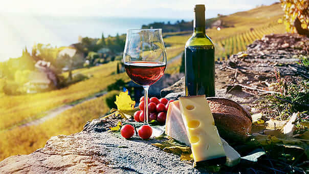  VISITA LA RUTA DEL QUESO Y EL VINO EN TEQUISQUIAPAN