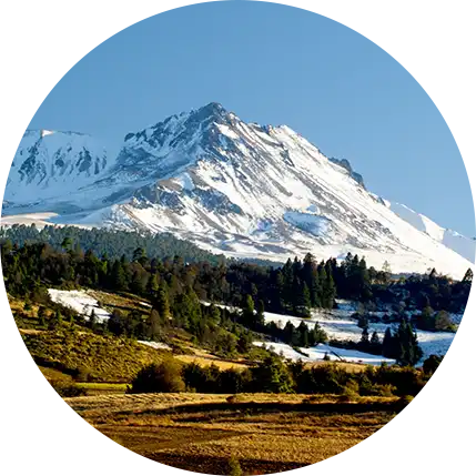 Boletos de Autobús a Toluca ETN Turistar Lujo